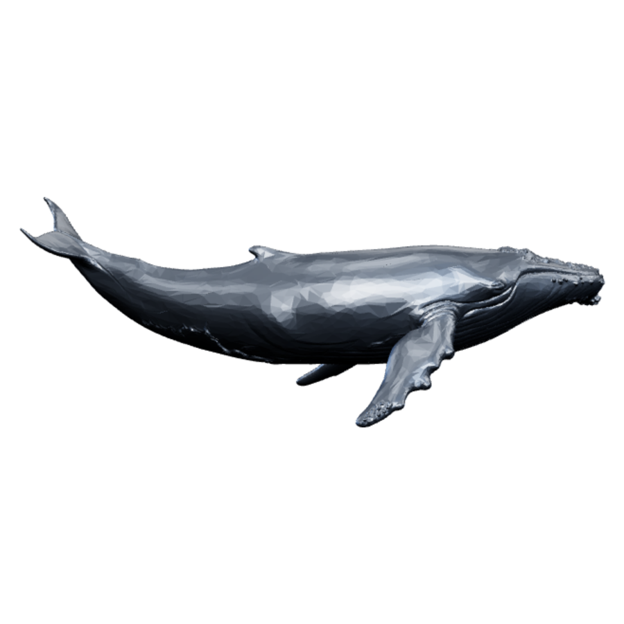 A humpback whale gliding through a starfield, the Whale Digital Marketing mark.