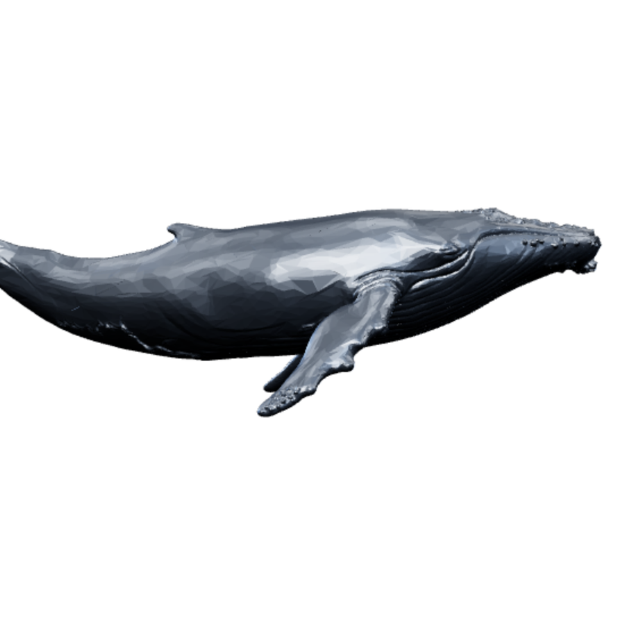 A humpback whale gliding through a starfield, the Whale Digital Marketing mark.